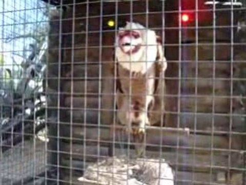 Espagne port aventura divertissement