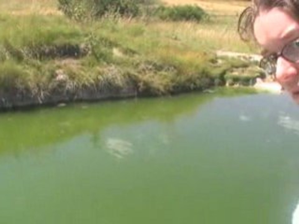 La source saladis nettoyer