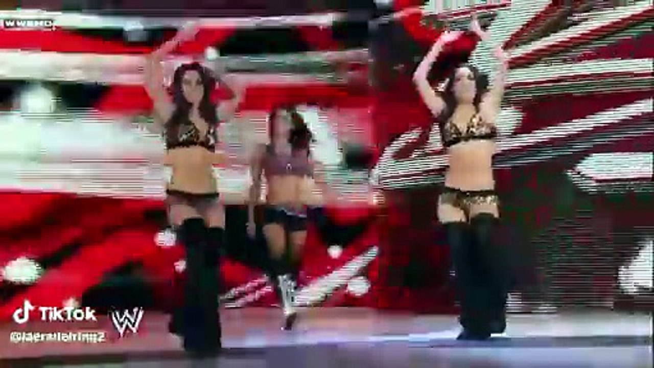 Could you guys imagine seeing Nikki, Brie and A...