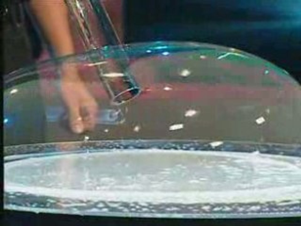 Most bubble domes in concentric circles Guiness World