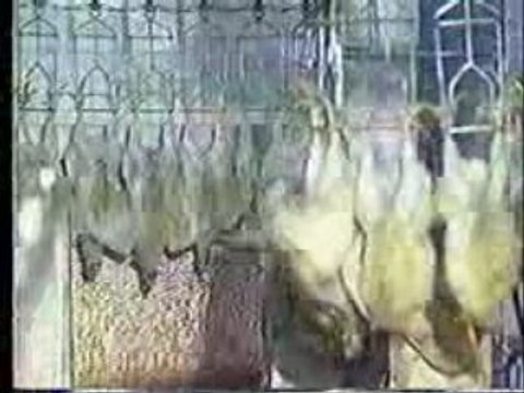 The Smiths Meat Is Murder