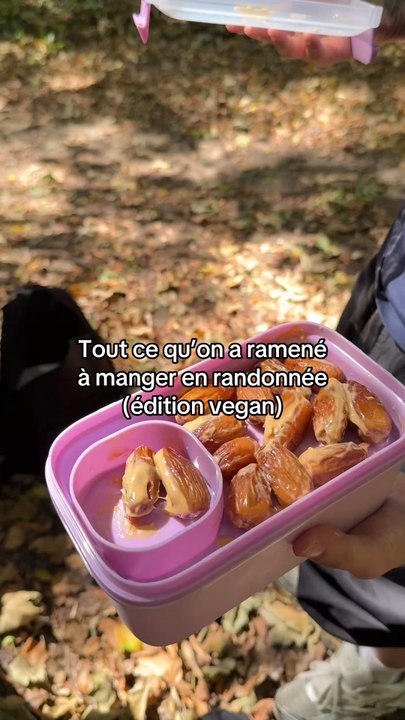 Tout ce qu’on a mangé en randonné, vegan edition