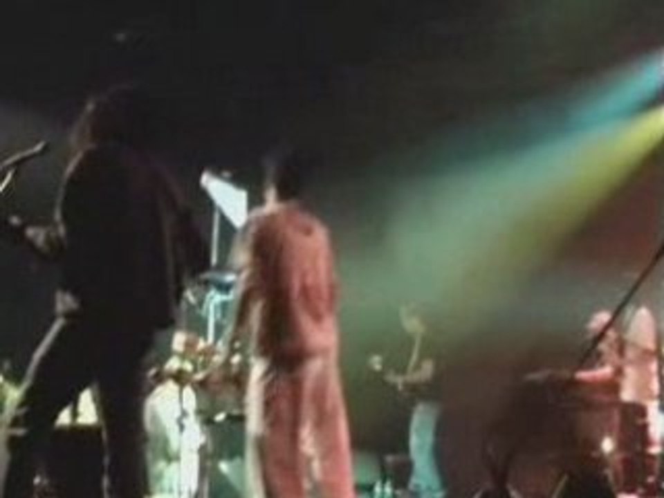 medley donkey jaw bone