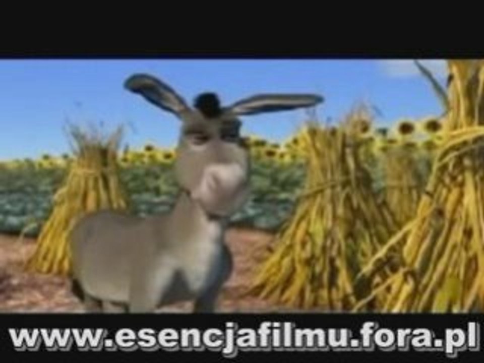 Shrek i Osioł a nie Batman i Kung Fu Panda