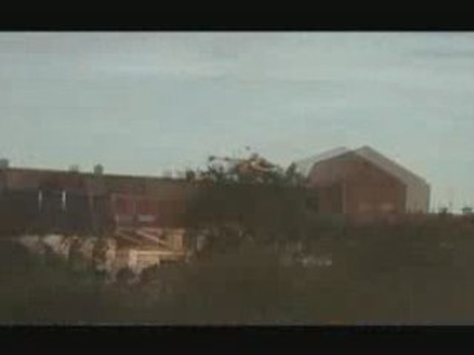 Xtreme Heli4 T-rex 450s