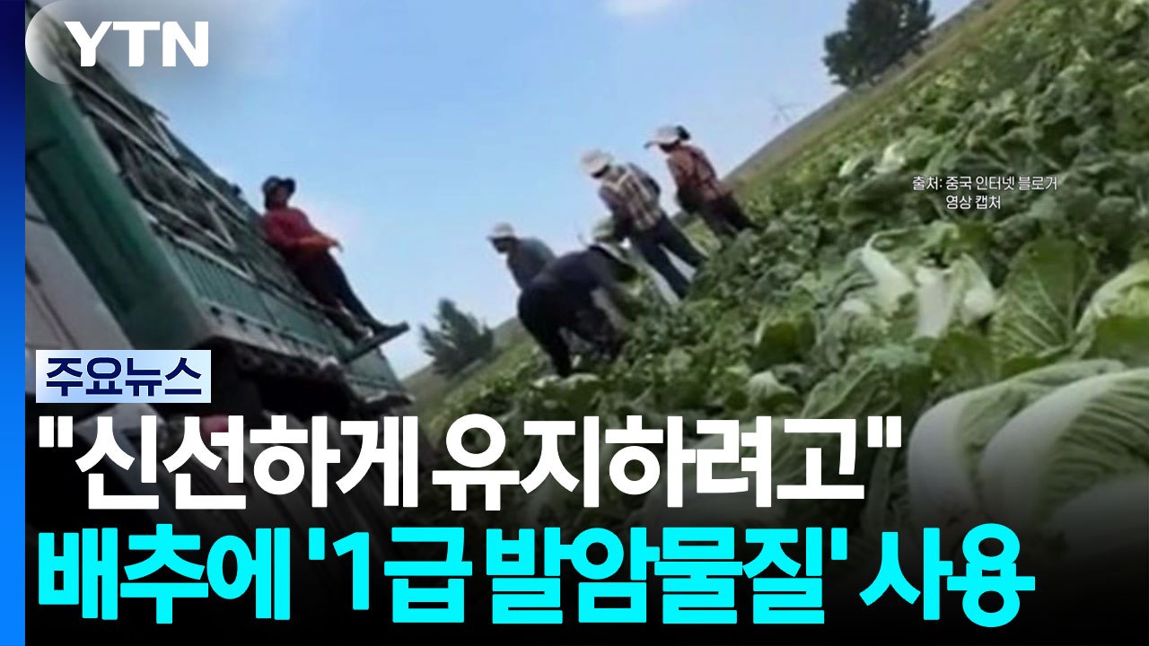 "신선하게 유지하려고"...중국산 배추, '1급 발암물질' 사용 [앵커리포트] / YTN