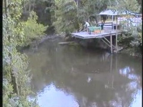 Mon saut à l'élastique