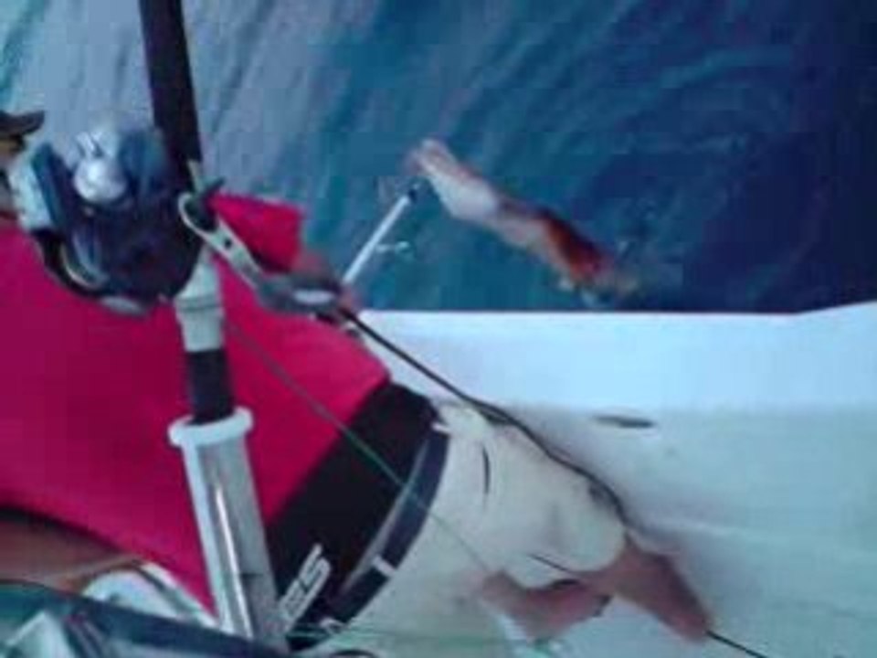 V170608_21.17