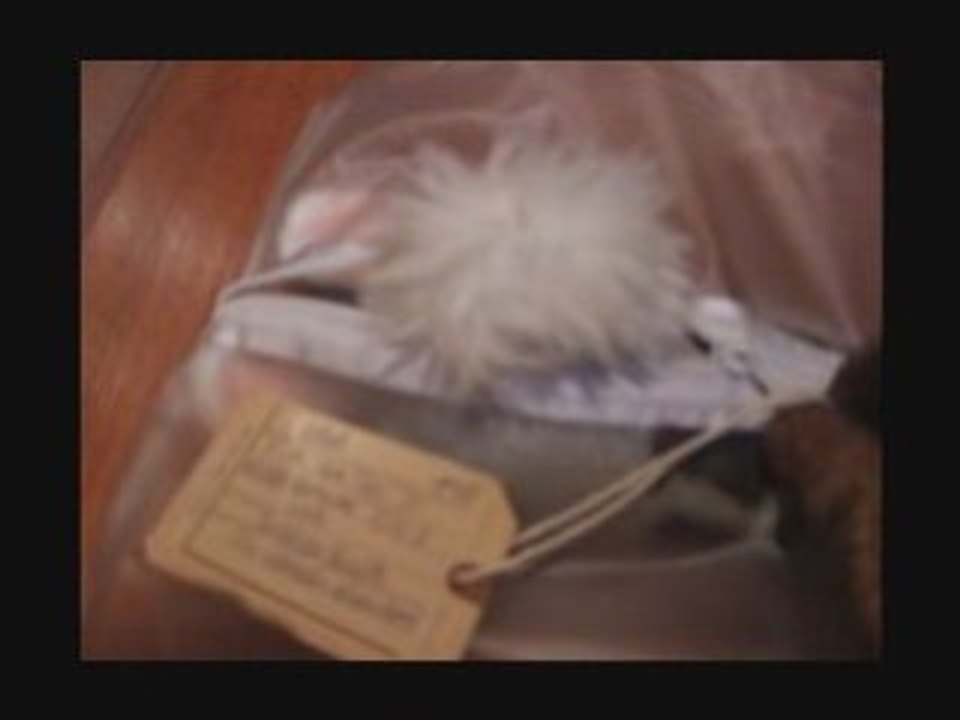 Road_kill_plush