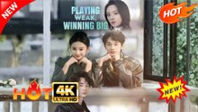 Playing Weak, Winning Big  | Hot Drama Full Eng Sub