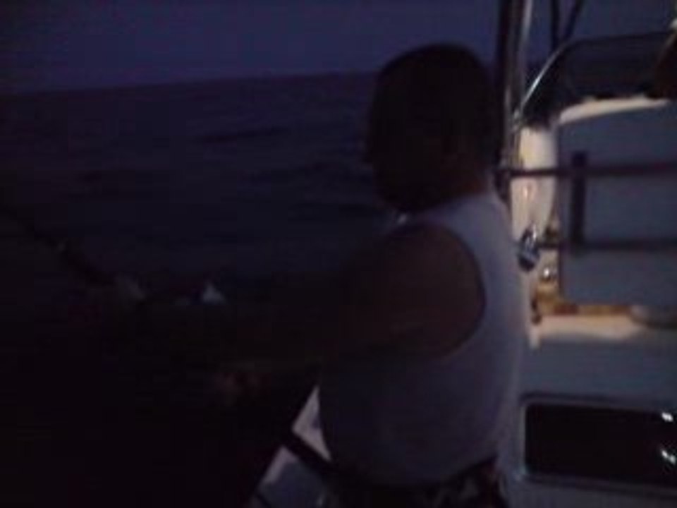 V170608_21.38