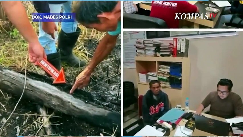 Polisi Ungkap Modus Karhutla di Kalbar: Lahan 2 Hektar Dibakar untuk Pembukaan Lahan Kebun Sawit