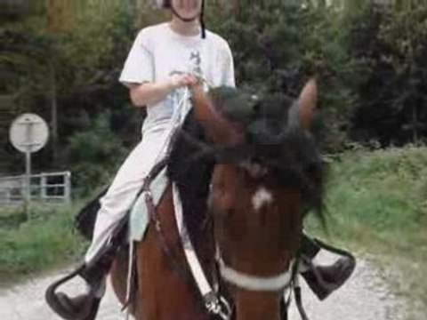 Galops dans un champs pour moi