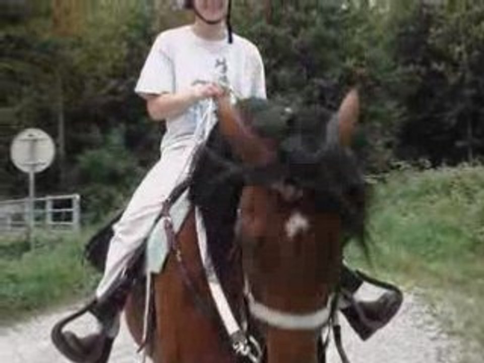 Galops dans un champs pour moi