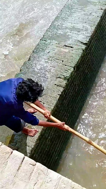 Live fishing