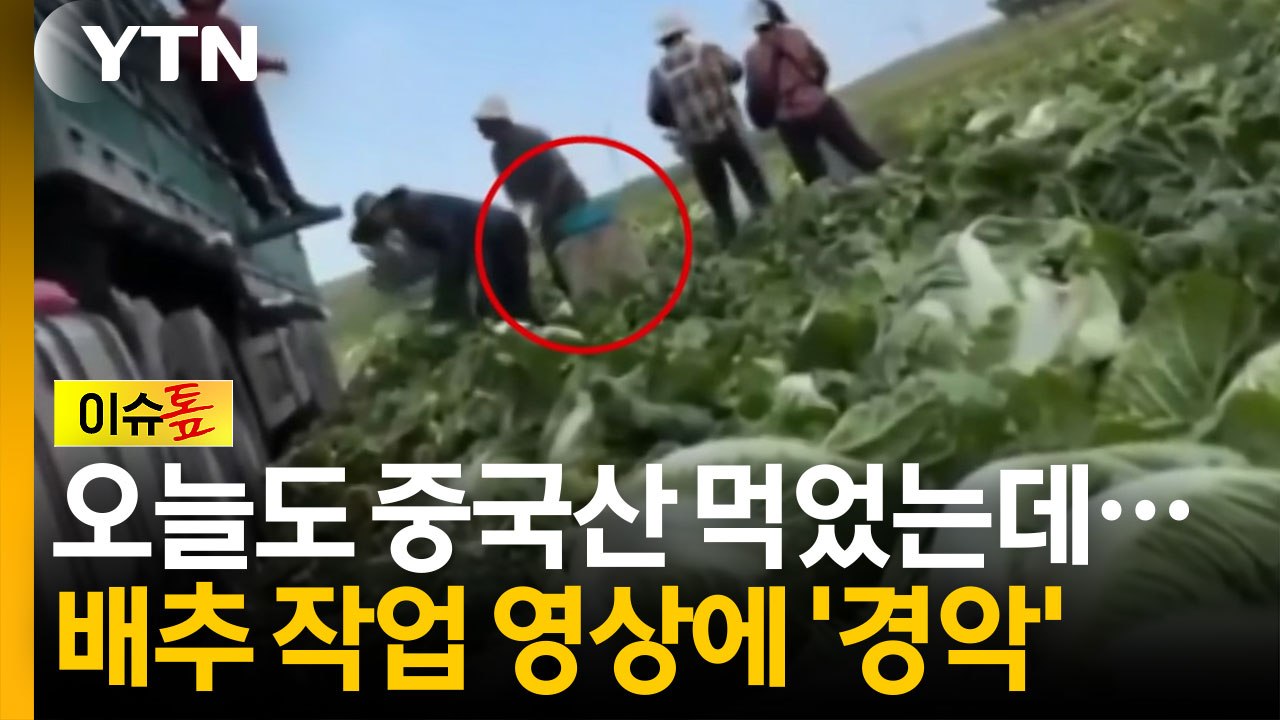 중국산 배추 화물차 옆 '충격적 물체'...영상 공개되자 '발칵' [이슈톺] / YTN