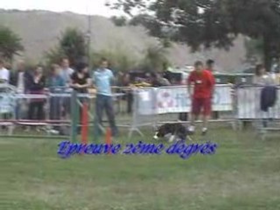 Agility(Open et Degrés de PAM 2008 catégorie C)