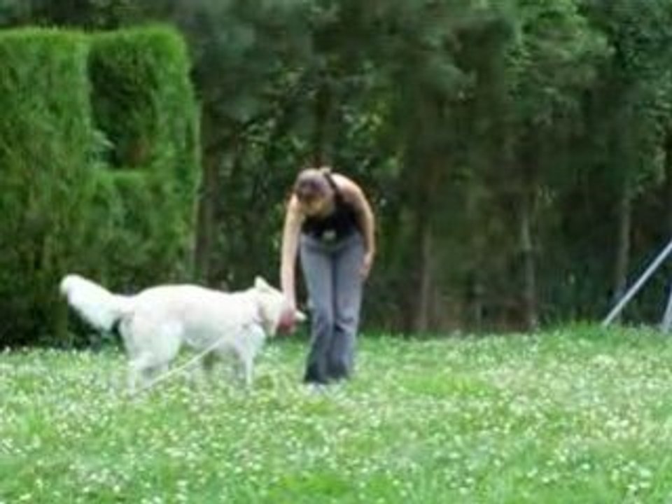 Entrainement baiky le 19.07.08 006