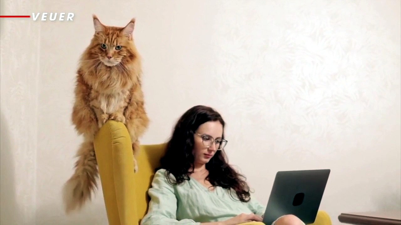 74% of people don’t know what subscriptions they actually have