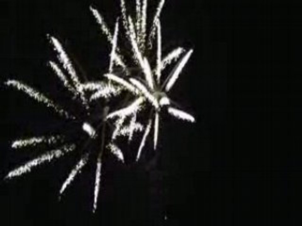 Feux d'artifices du 14 juillet 2008