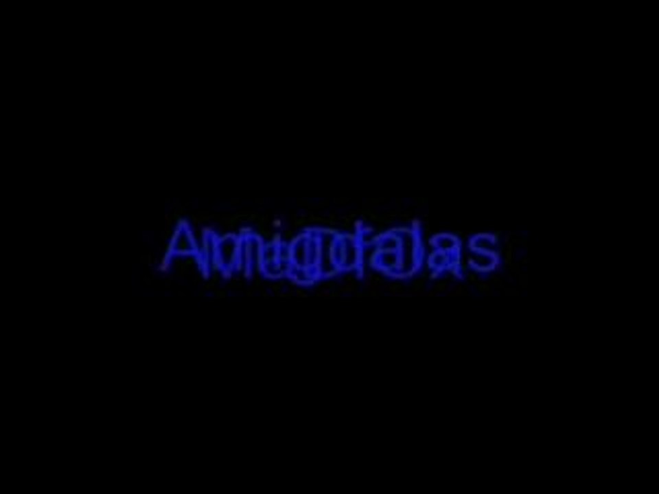 DSTS_002