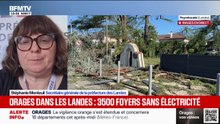 Orages: "Le reste du trafic ferroviaire a repris et refonctionne, mais on a encore une partie au sud de Dax qui est encore en difficulté", rapporte la secrétaire de la préfecture des Landes