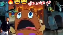 قاع الهامور بيولع 🔥😂