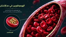 تركيبت دم الأنسان والأخطبوط وليش الأنسان لون دموا أحمر والأخطبوط أزرق