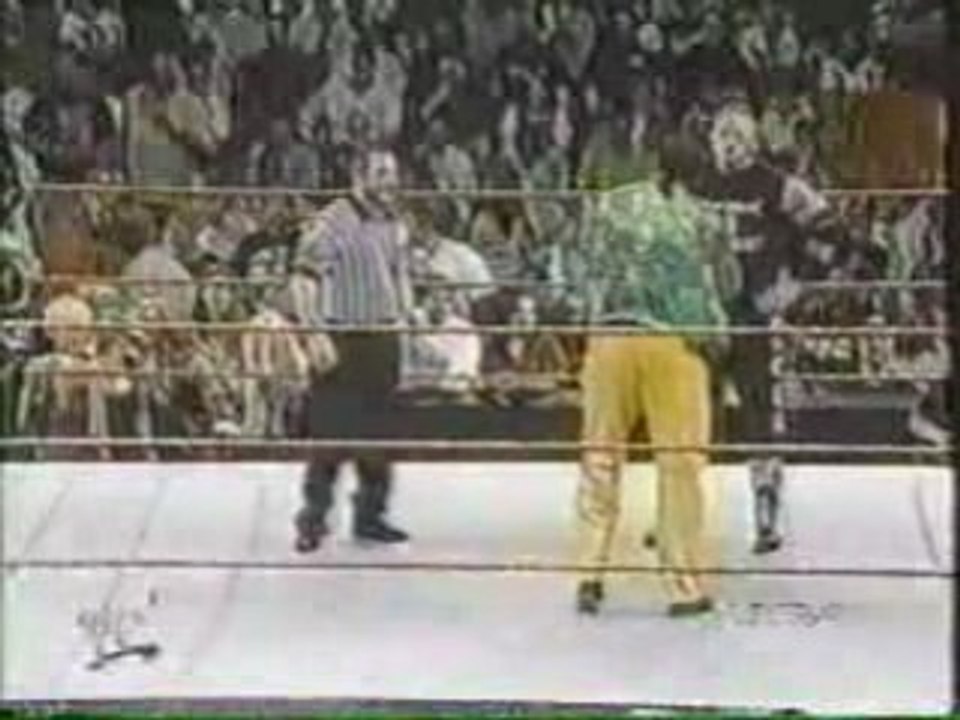 Owen Hart Tributes