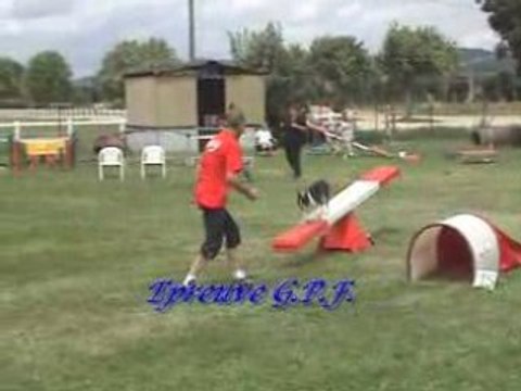 Agility (Concours P-à-M 2008 catégorie A)