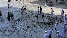 Beautyfull Naat Sharif Madina