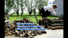 Notícias do dia | 24 de agosto 2026 - Tarde