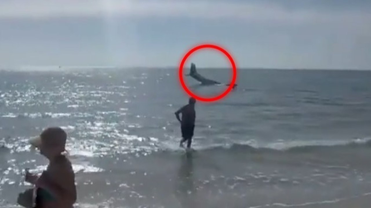 Aereo perde quota e si schianta in mare, bagnanti sbalorditi