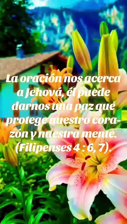 Reflexiones Bíblicas