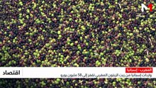 النشرة الاقتصادية - 24/08/2026