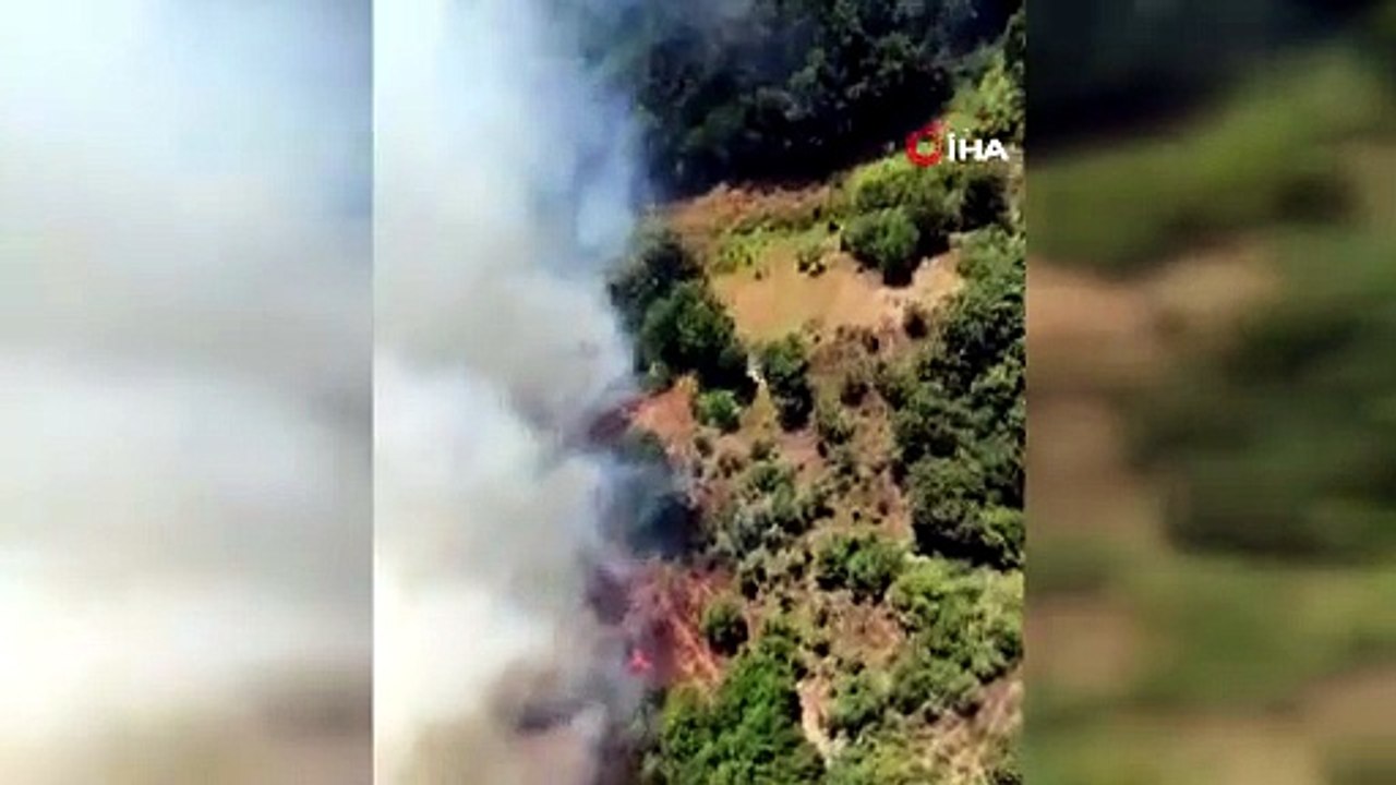 Bursa’da bir orman yangını daha