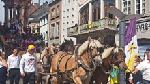 Ducasse d'Ath 2026 🇧🇪✨