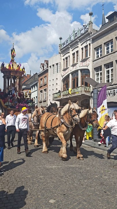 Ducasse d'Ath 2026 🇧🇪✨