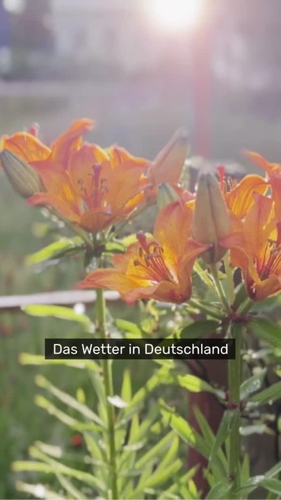 No Glomex Deutschland-Wetter spielt verrückt: Erst 31 Grad, dann kommt der Wettersturz – ist der Sommer endgültig vorbei?