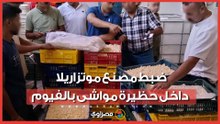صودا كاوية في الجبنة.. ضبط مصنع موتزاريلا داخل حظيرة مواشى بالفيوم