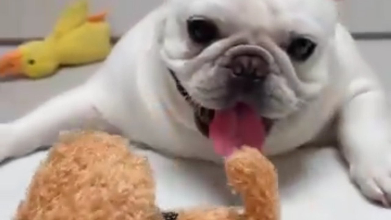 No way out, gotta get the toy