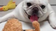 No way out, gotta get the toy