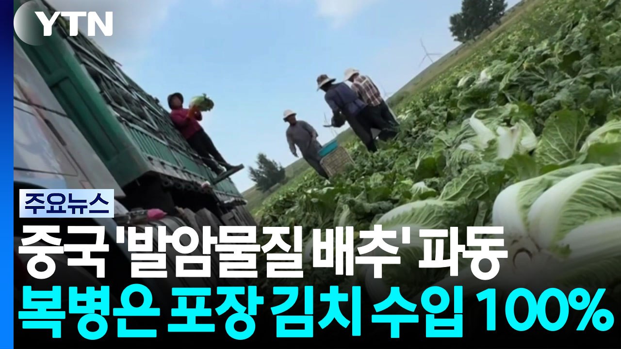 중국 '발암물질 배추' 파동...복병은 포장 김치 수입 100% / YTN