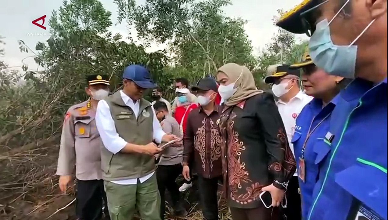Menhut Tegaskan Penegakan Hukum bagi Pelaku Karhutla di Kalsel