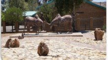 معلومات عن ليسوتو 🇱🇸 | Lesotho Information (Capital, Flag, Map, Currency)