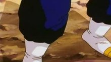 vegetto1