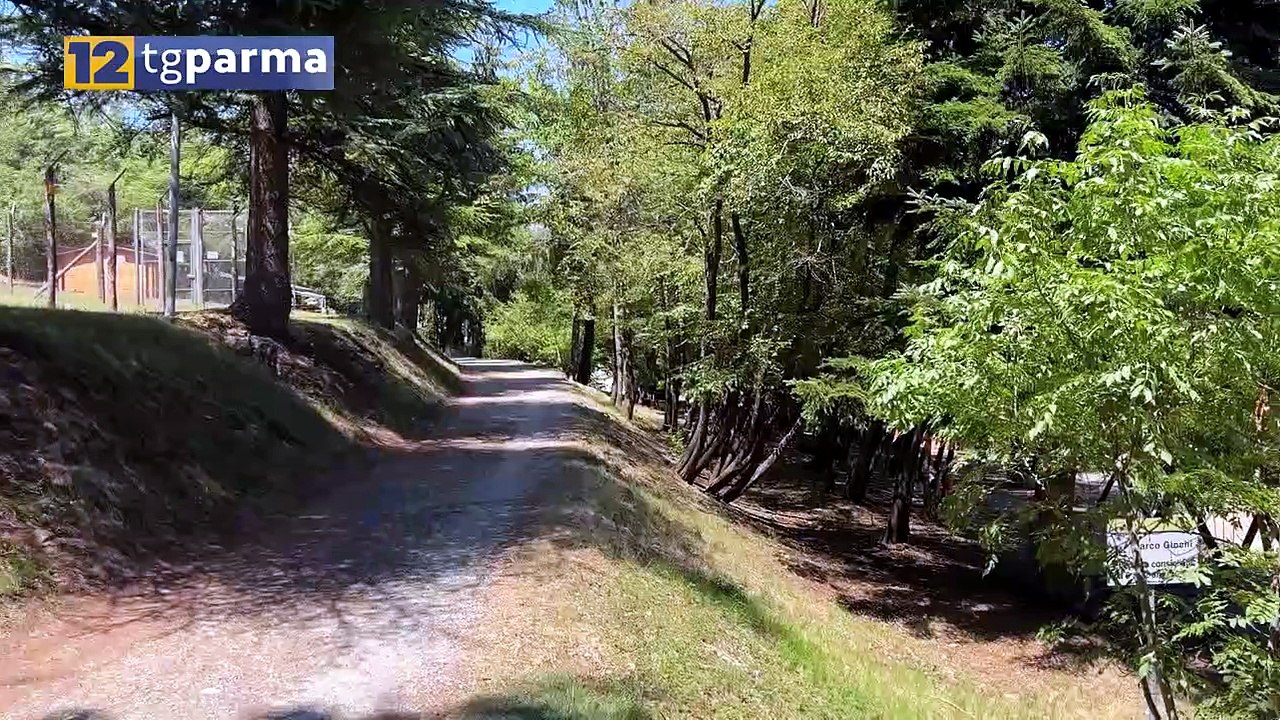 INCIDENTE SUL MONTE FUSO: DOMANI I FUNERALI DI CARLO PIOLI | INCIDENTE SUL MONTE FUSO: DOMANI I FUNERALI DI CARLO PIOLI