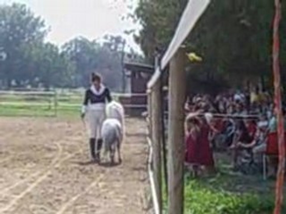 SPECTACLE CHEVAL CORNILLON13          5364