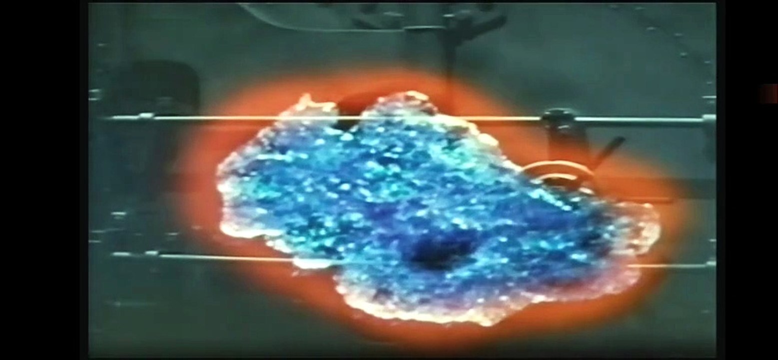 Dogora, Il Mostro Della Grande Palude (Parte 1) del 1964 [ITA]