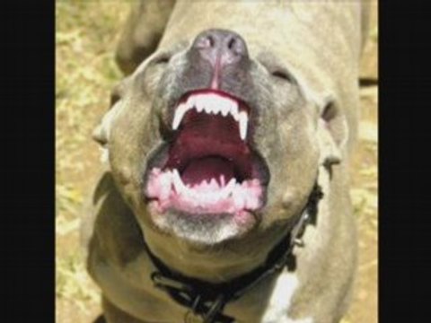 Resprik1ff feat larsen et nocif .. rap fr exclu .pourquoi